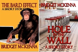 The Bard Effect and Hole in the Wall, on sale now for the Amazon Kindle